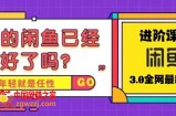 火爆全网的咸鱼玩法进阶课程，单号日入1K的咸鱼进阶课程