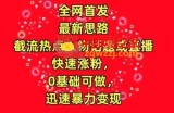 全网首发，截流热点人物话题或直播，快速涨粉，0基础可做，迅速暴力变现【揭秘】