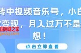 玩转中视频音乐号，小白副业变现，月入过万不是幻想【揭秘】