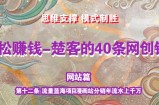 《楚客的40条锦囊-网站篇》第十二条：流量蓝海项目漫画站分销年流水上千万