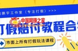 2023年全套打假合集，集合市面所有正规打假玩法（非正规打假的没有）