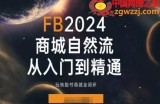 2024Faceboo商城自然流(从入门到精通)，玩转脸书商城全闭环