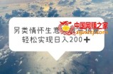 另类情怀信息差生意，突破高销量，轻松实现日入200+