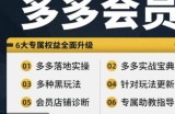 拼多多会员，拼多多实战宝典+实战落地实操，从新手到高阶内容全面覆盖