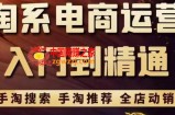 淘系电商入门到精通手淘搜索：手淘推荐，全店动销（价值1099元）
