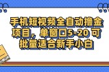 （12898期）手机短视频掘金项目，单窗口单平台5-20 可批量适合新手小白