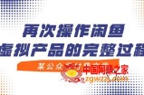 （7699期）某微信公众号付费文章，再度实际操作闲鱼平台虚拟商品的一体化全过程