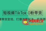 短视频TikTok 0粉带货：快速带货变现、打爆流量玩法、无货源玩法！