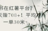 抄书在小红薯平台？平均一单30米，一天收益几张！