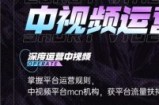 青檬MCN创始人亲自带你0基础5天学会中视频创作：深度运营中视频，掌握平台运营规则