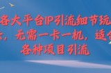 各大平台IP引流细节玩法，无需一卡一机，适合各种项目引流