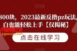 一天800块，2023最新反撸pz玩法，小白也能轻松上手【仅揭秘】