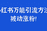 小红书万能引流方法，被动涨粉！【视频教程】