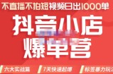 推易电商·2022年抖音小店爆单营8月份线上直播课，不直播，不拍短视频，日出1000单