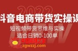 抖音电商带货实操课：短视频带货思维与实操，适合日销0-100单