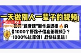 一天做完别一辈子的视频制作最近很火的《1000个野路子信息差》100%过原创【揭秘】