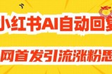 【原创开发】小红书AI自动回复，全网首发引流涨粉思路