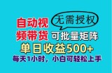 自动视频带货，可批量矩阵，单日收益500+、轻松实现睡后收益，小白可