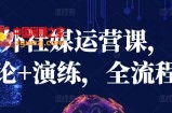 海外社媒运营课，理论+演练，全流程
