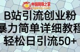 B站引流创业粉，暴力简单详细教程，轻松日引流50+【揭秘】