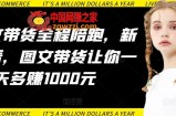 AI图文带货全程陪跑，新手必看，图文带货让你一天多赚1000元