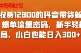 外面收费12800的抖音带货新奇玩法，爆单流量密码，新手轻松入局，小白也能日入300+【揭秘】