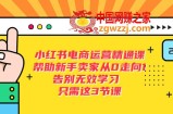 小红书电商·运营精通课，帮助新手卖家从0走向1 告别无效学习（7节视频课）