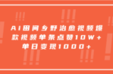 Ai田间乡野治愈视频，爆款视频单条点赞10W+，单日变现1000+