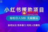 小红书援助项目新奇玩法，简单暴力，无脑搬运轻松日入500【揭秘】