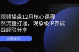 短视频操盘12月核心课程：自然流量打通，现象级IP养成，实战经验分享