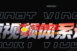 短视频完整知识体系课，一次性搞懂短视频，运营手法、内容制作、投放技巧项目玩法