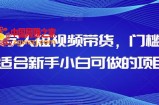 AI数字人短视频带货，门槛低，适合新手小白可做的项目