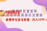 视频号批量矩阵的高客单高利润玩法揭秘： 视频号引流与变现 月入10W+