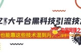大平台黑科技引流技术，小白也能靠这些技术混到月入1w+(2022年的课程）