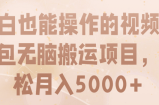小白也能操作的视频表情包无脑搬运项目，轻松月入5000+【视频教程】