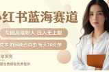 小红书蓝海赛道，圈中高端职场人，月入无上限，可矩阵，内含私域实操教程!