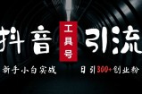 2024最新抖音工具号引流玩法，高效日引300+创业粉，当天变现5k，小白也可成为实战高手