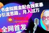 小红书虚拟掘金配合独家首发暴力引流思路，月入过万【揭秘】