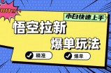 悟空拉新爆单玩法，精准引流，小白分分钟上手