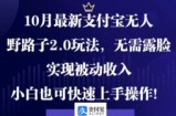 （12824期）10月最新支付宝无人野路子2.0玩法，无需露脸，实现被动收入，小白也可&amp;#8230;