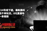 拼多多6月14号线下课，最新黑科技起爆日出千单玩法，0元直通车如何起飞一条链接