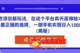 老项目新玩法，在这个平台卖天涯神贴才是最正确的选择，一部手机实现日入1000+【揭秘】