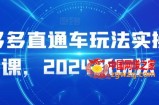 多多直通车玩法实操课，2024新玩法