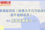 海外问卷调查项目（收费几千几万的项目到底是不是割韭菜）【揭秘】