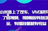 小米造上了汽车，VIVO研究上了短视频，视频板砖轻松掘金，有播放量就有收益