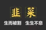 在网上被坑蒙拐骗过吗？韭菜骗局项目专门收割这几类人