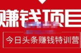 懒人领域·今日头条项目玩法，头条中视频项目，单号收益在50—500可批量