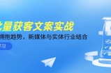 AI批量获客文案实战，普通人拥抱趋势，新媒体与实体行业结合