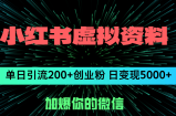 （12164期）小红书虚拟资料日引流200+创业粉，单日变现5000+