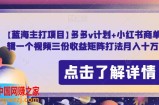 【蓝海主打项目】多多v计划+小红书商单，AI剪辑一个视频三份收益矩阵打法月入十万【揭秘】